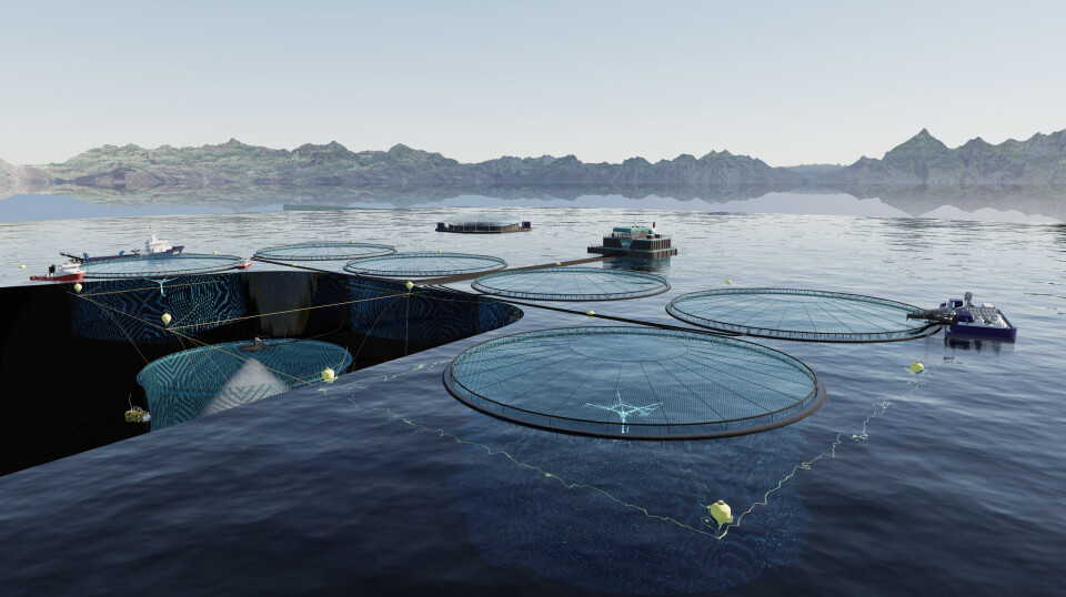Smir has signed a contract with Nova Sea for total delivery of technology and services for deep farming.