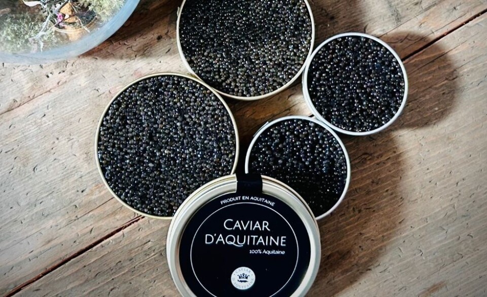 Caviar d'Aquitaine is in the final stages of approval for Protected Geographical Indication (PGI) certification.