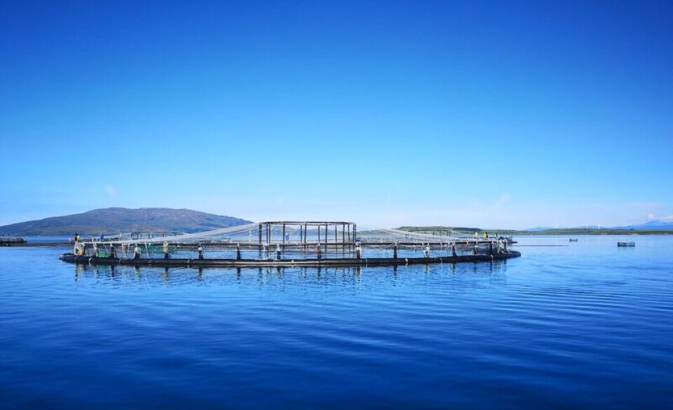 James Park, inset, said money generated in Scotland's coastal and island communities should be reinvested locally to ensure that rural Scotland can thrive.