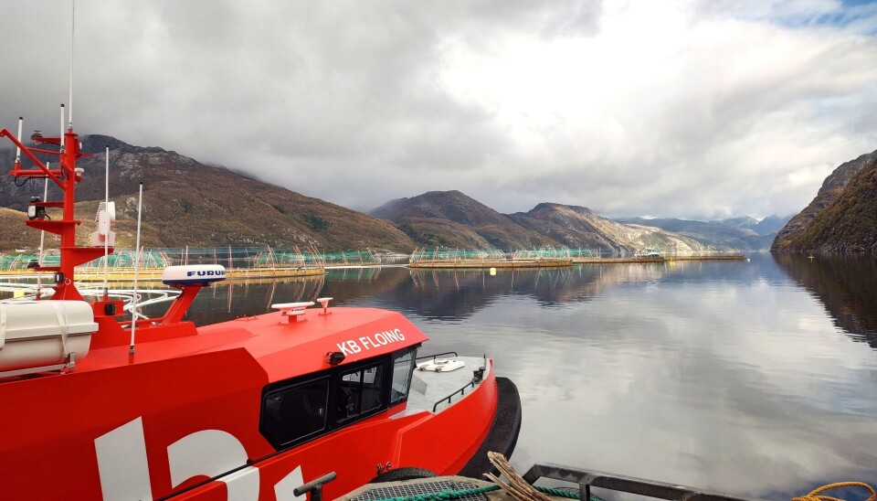 The incident occurred in connection with diving from the vessel KB Floing. The picture of the vessel was taken on another occasion.