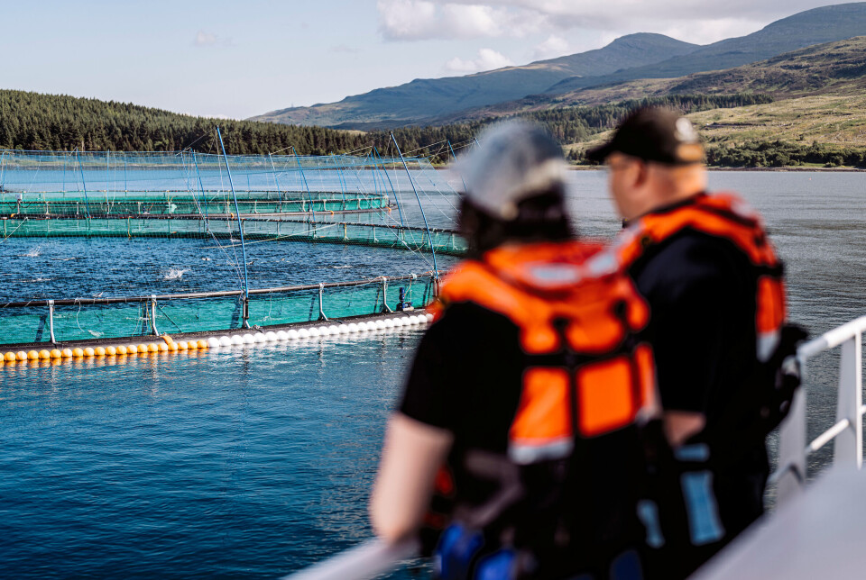 The 160-metre pens at Fishnish, which produced fish with an average harvest weight of 6.8kg.