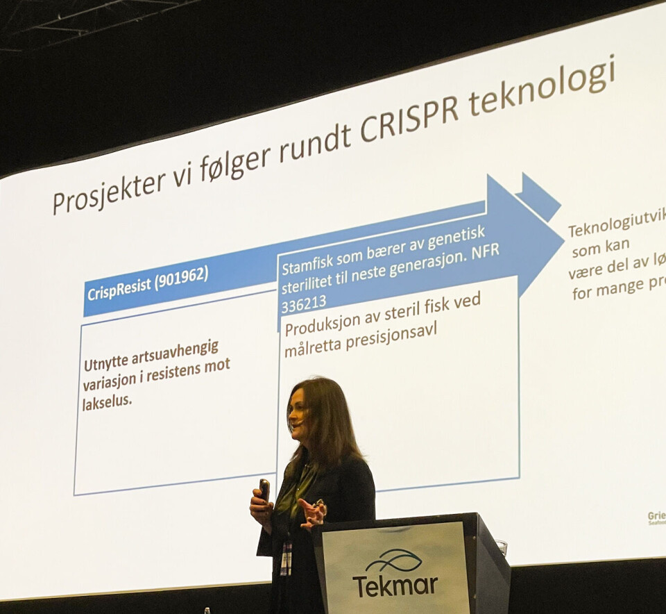 Grieg Seafood has several projects that it is working on regarding CRISPR technology, which R&D manager Ragna Heggebø considers interesting and important.