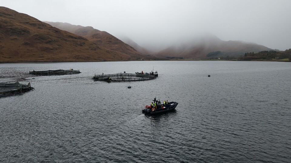 The salmon farm at Kingairloch, where Iain Fraser is currently helping the manager - his son, Jack - while his own farm at Laga Bay is fallow.