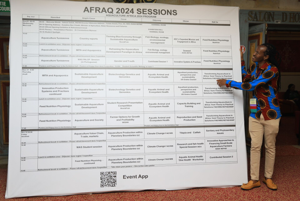 AFRAQ24 has six sessions running in parallel, and 41 in total.