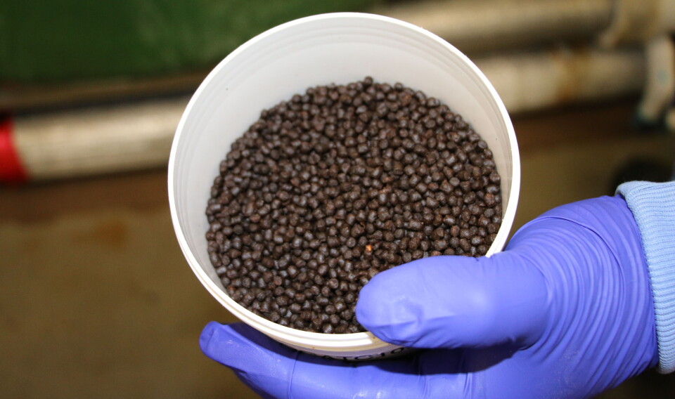 Onda will evaluate the performance of feed containing canola.