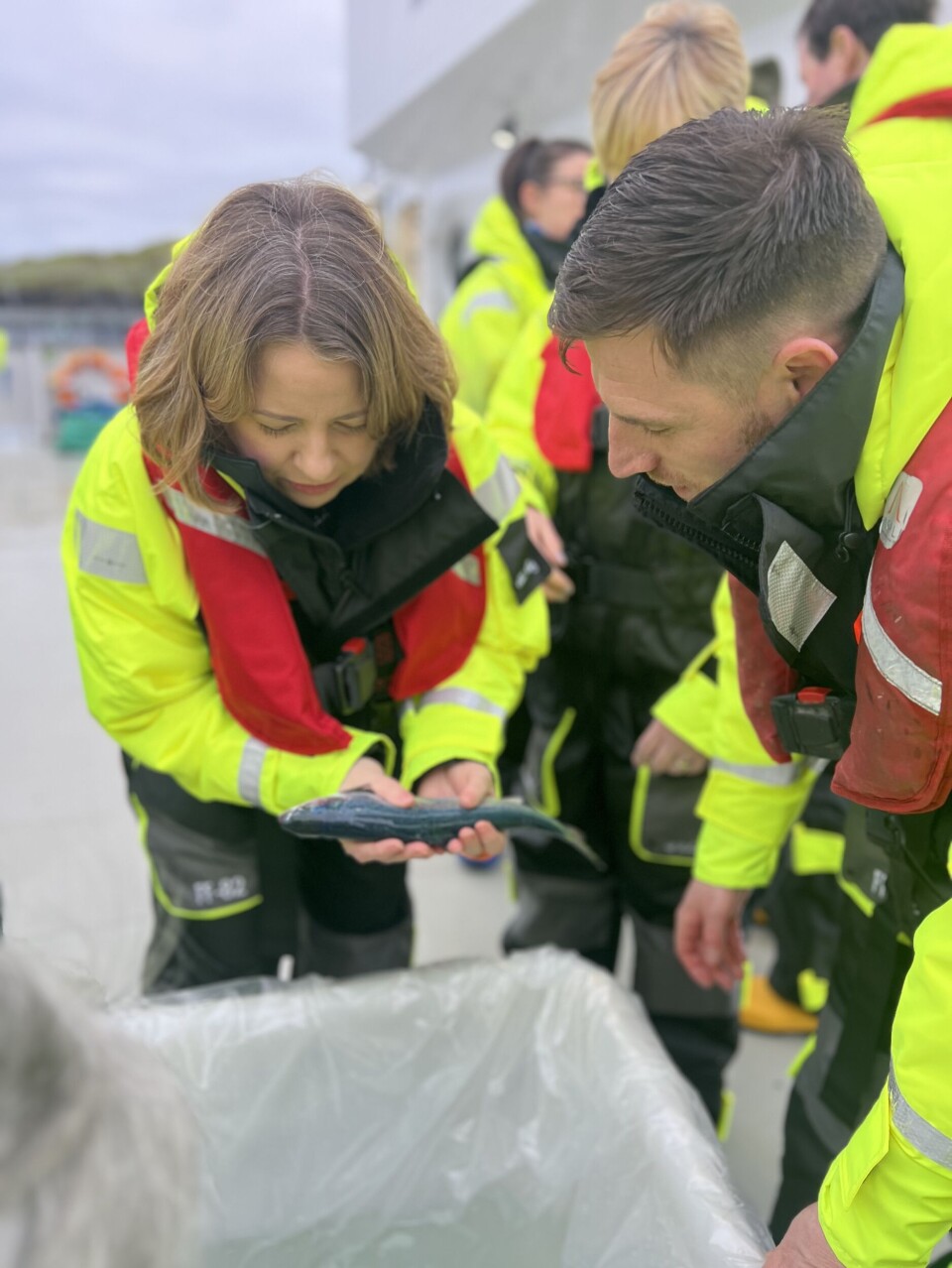 Bathgate and Linlithgow MP Kirsteen Sullivan examines a salmon that has been sedated for a health check.