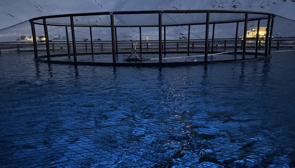 Illustrative photo of a Grieg fish farm in Finnmark. The farmer has been forced to harvest some fish early in the region because of CMS.