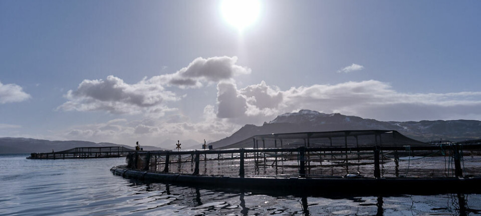 Scottish aquaculture sets transparency standard for rest of UK