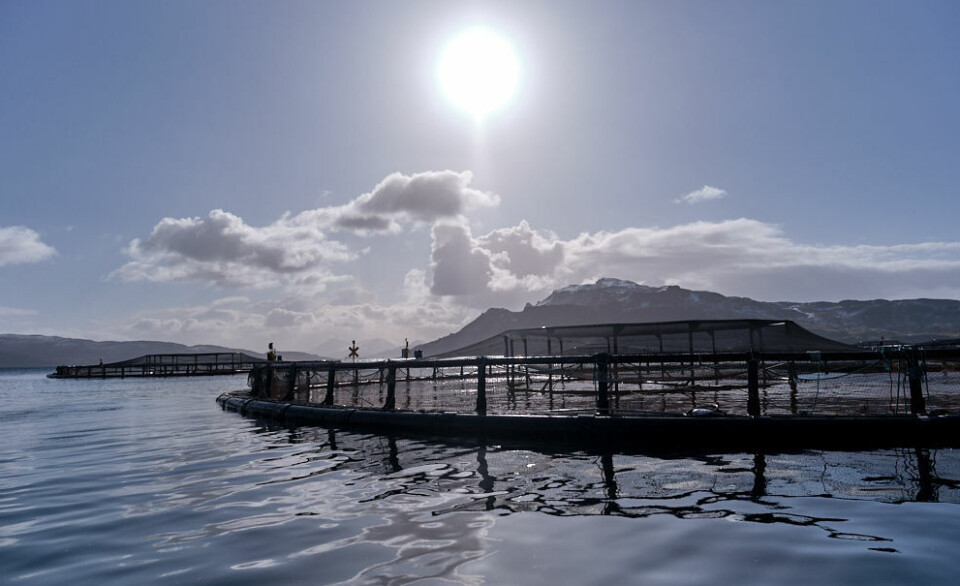 A salmon farm in Scotland. Antibiotic use by the sector fell to a record-low of 5.1mg per kilo last year, with 92.9% of seawater farms and 89.4% of freshwater sites not using any.