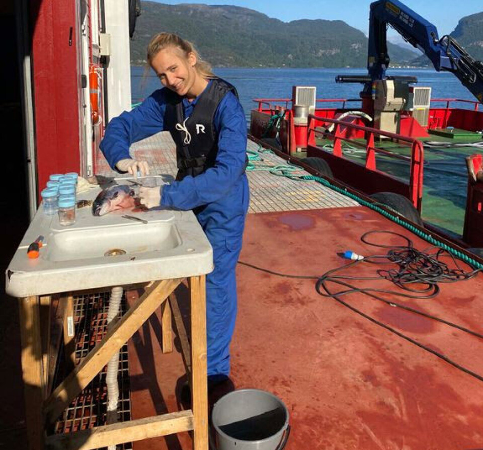 Linn Haug Eide has completed a large scale study of alternative fish diets at Eide Fjordbruk, which has 11 sea locations in Vestland county on the west coast of Norway, from the Hardangerfjord in the south to the Nordfjord in the north. Results will be publicly available.
