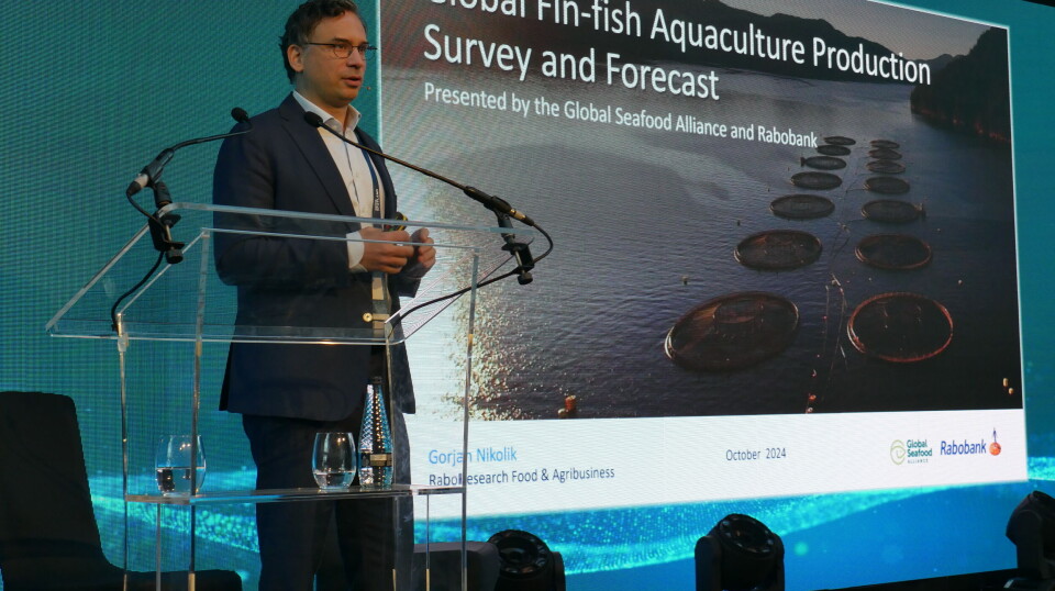RaboResearch seafood analyst Gorjan Nikolik presenting at the Responsible Seafood Seminar at St Andrews, Scotland, last year.