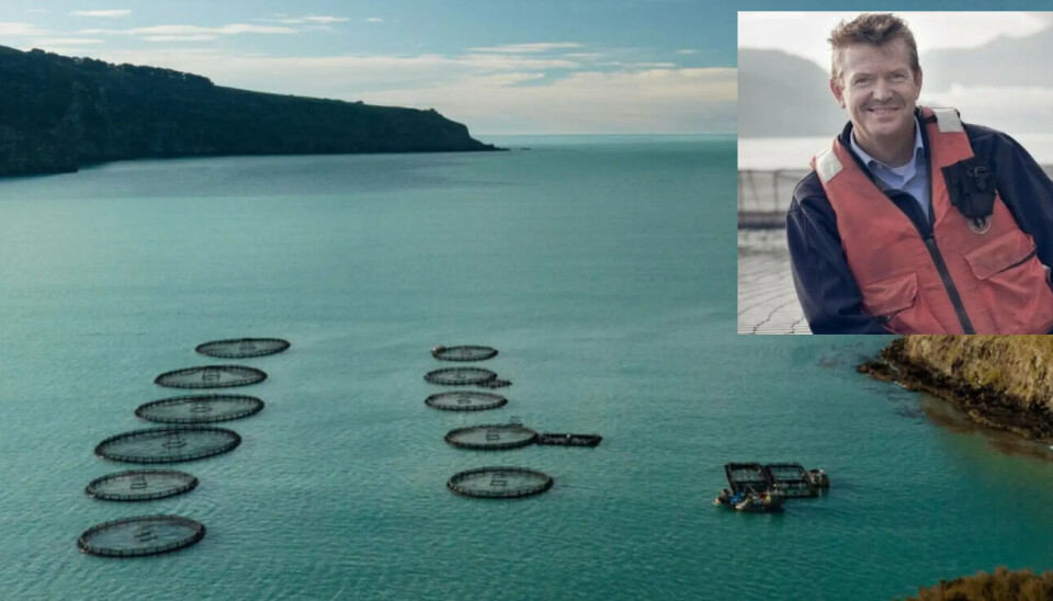 Stewart Hawthorn, inset, returned to New Zealand earlier this year to become chief executive of Akaroa King Salmon, pictured, and has now been named as chair of Aquaculture New Zealand.