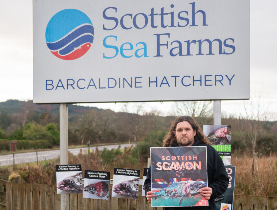 File photo of Don Staniford staging a one-man protest at the entrance to SSF's Barcaldine hatchery near Oban. The activist owes the fish farmer almost £29,000 in legal costs.