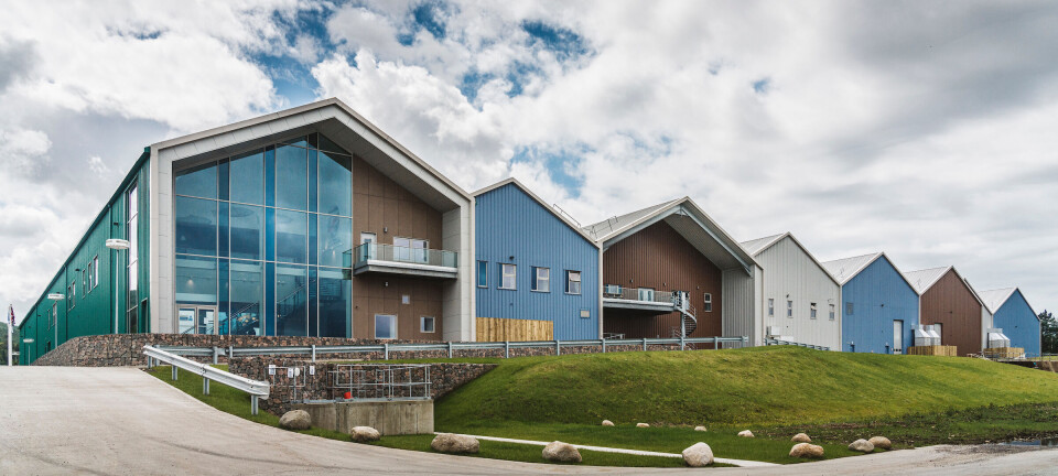 Salmon farmer's alternative approach helps it turn the tide against Saprolegnia