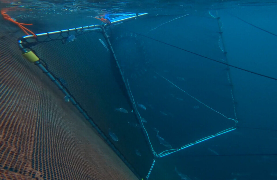 The 360FishSweep supplied by Voatec can be used for capturing moribund salmon and cleaner fish.