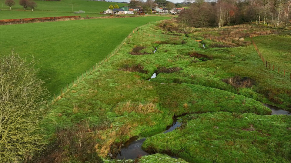 A stretch of the Mauchline Burn, where the Ayrshire Rivers Trust has installed livestock fencing and planted trees to stabilise riverbanks and create new habitats for salmon.