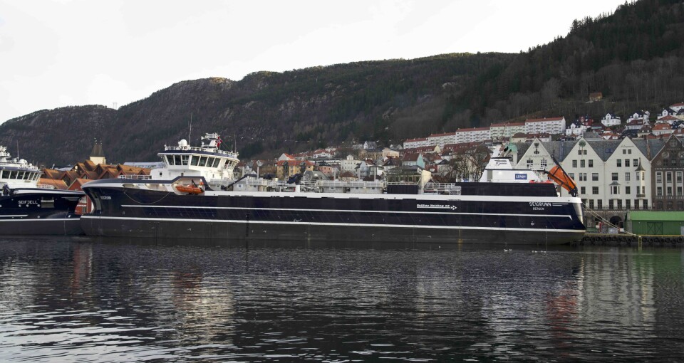 Viking long boat: The Seigrunn, right, has a well volume of 8,000m³.