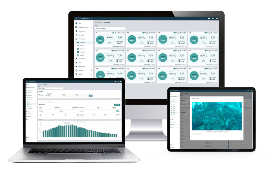 Innovasea's has added a seabream option to its biomass estimation product, BiomassPro. A sea bass option due later this year will take the number of species covered by the system to seven.