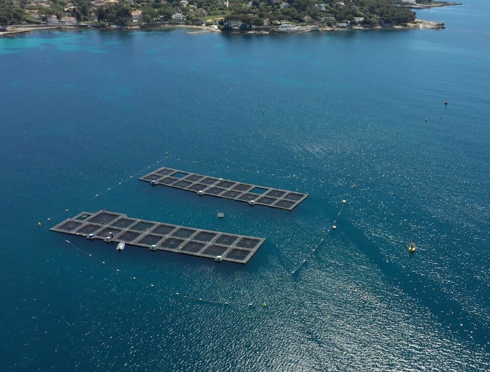 Pens at an Aquafrais Cannes fish farm in southern France.