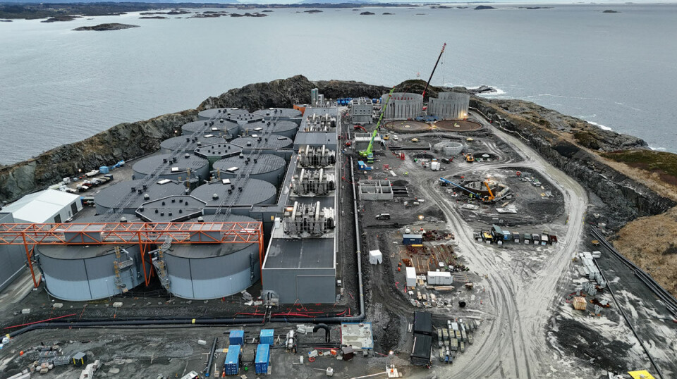 Never before had there been more fish in the facility at Indre Harøy than at the end of March.