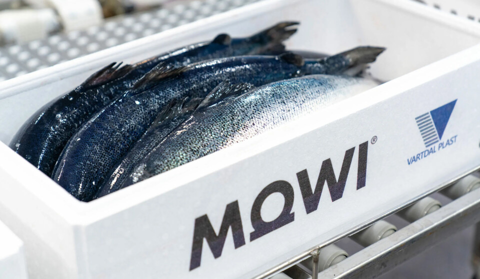 Mowi has agreed a €2.6bn, five-year credit facility that links interest to sustainability.