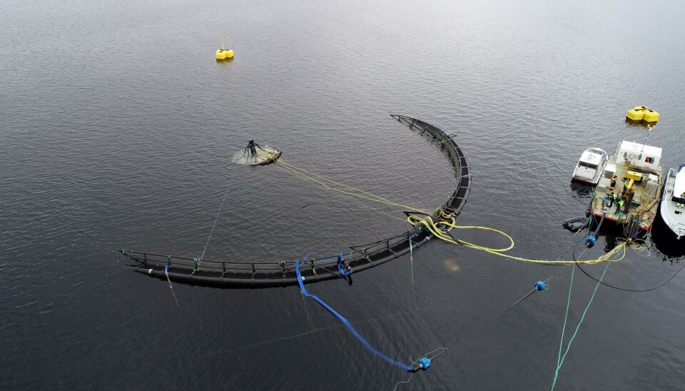 More fish farmers want submerged operations.