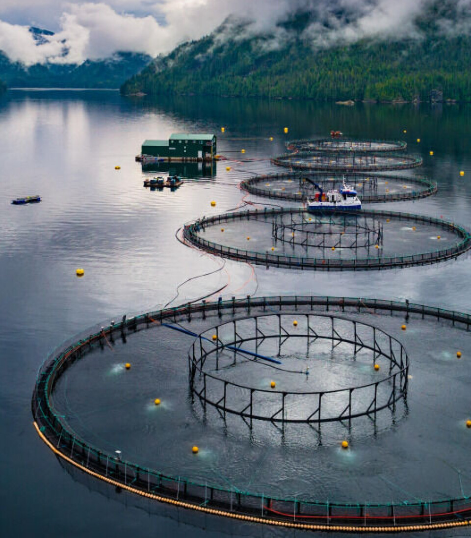 A Grieg Seafood farm in British Columbia. Grieg's assets in BC have been reduced in value because of the federal government's decision to ban open net pen salmon farming in the province from mid-2029.