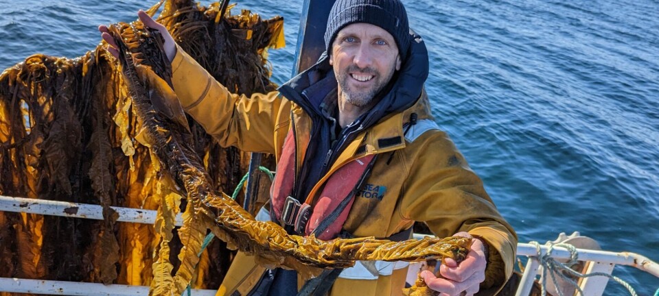 Seaweed processing startup raises funds to expand ingredients production