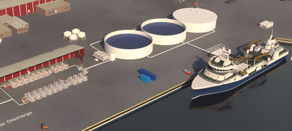 Return of Ectosan Vet depends on fish farmers, says Benchmark boss