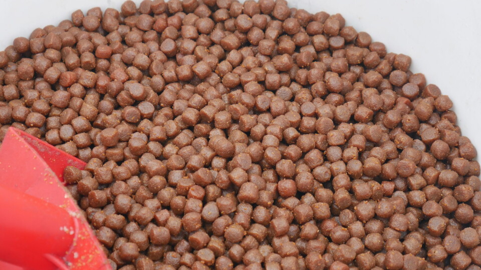 Soy is a significant ingredient in salmon feed.