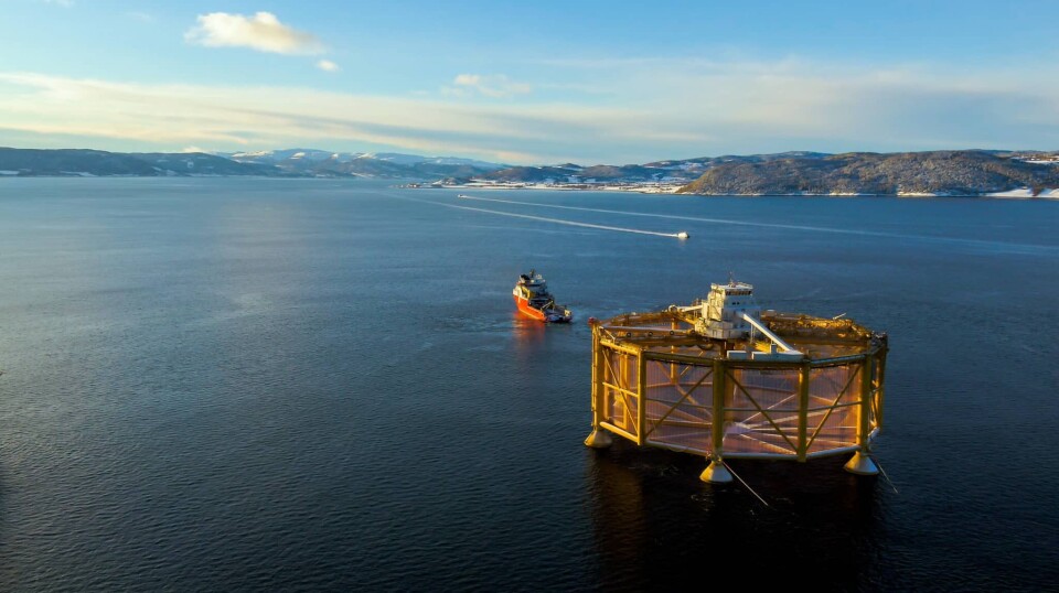 Ocean Farm 1 being towed to its location in Norway.
