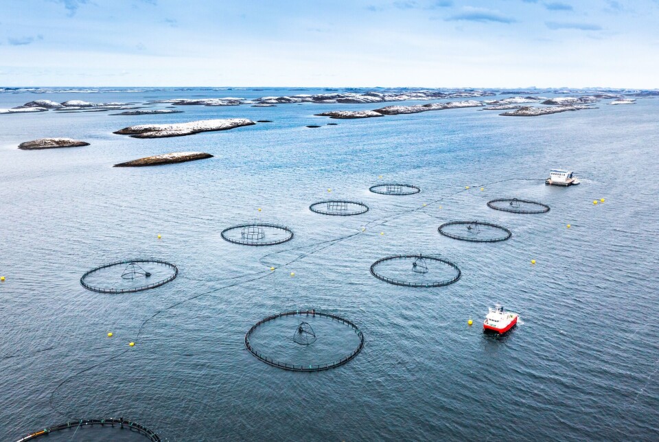 LetSea's facilities includes a sea farm, enabling BioMar to carry out trials in real-world conditions.