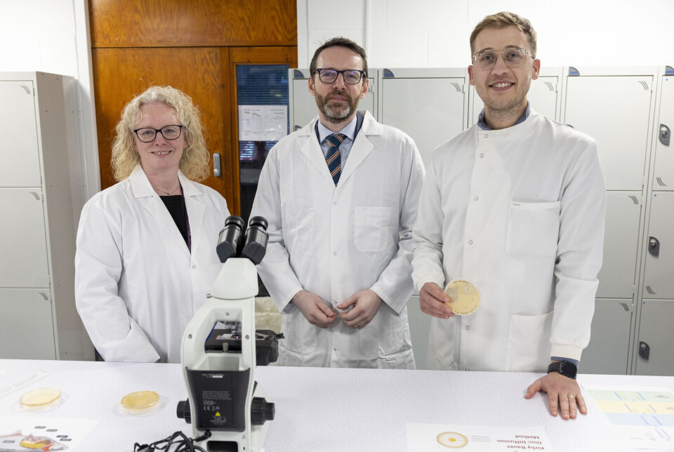 From left: IoA Professor Margaret Crumlish; Britain's ambassador to Vietnam, Iain Frew; and IoA post-doctoral research fellow Dr Chris Payne, during Frew's visit to Stirling University.