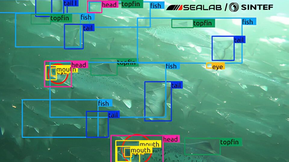 Automated recording is an important step towards more precise and individual-based welfare monitoring.