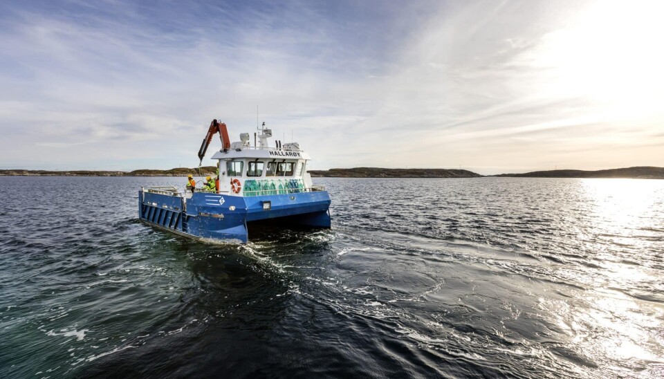 SalMar harvested 93,200 gutted weight tonnes of salmon in the third quarter of 2025.