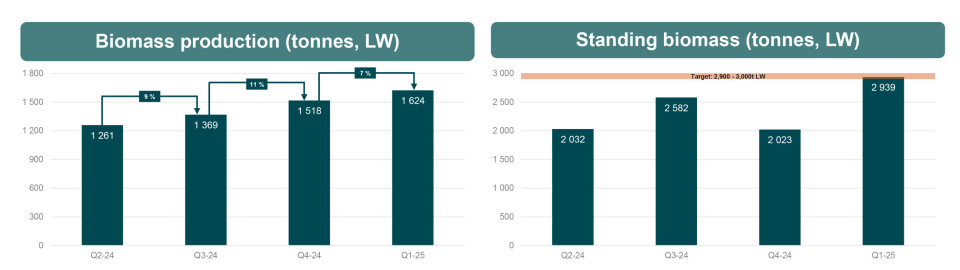 Quarterly development of production, left, and standing biomass in Salmon Evolution's facility on the island of Indre Harøy, Norway.