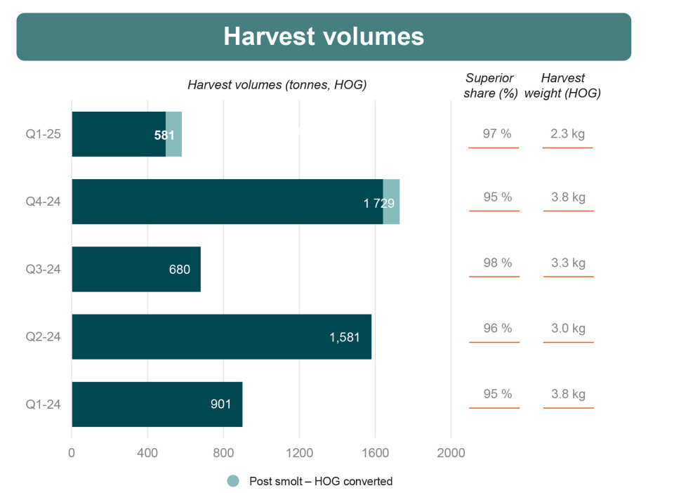 Quarterly slaughter volume (actual slaughtered + post-smolt sales converted to HOG), superior proportion and average weight.