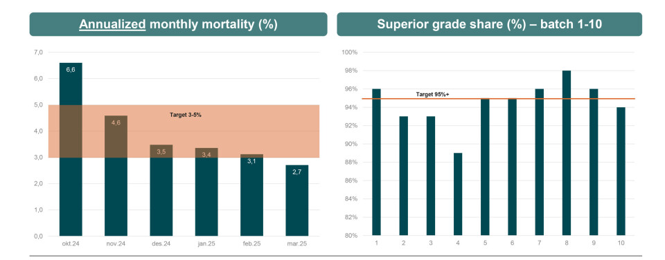 Quarterly development in mortality and superior salmon proportion.
