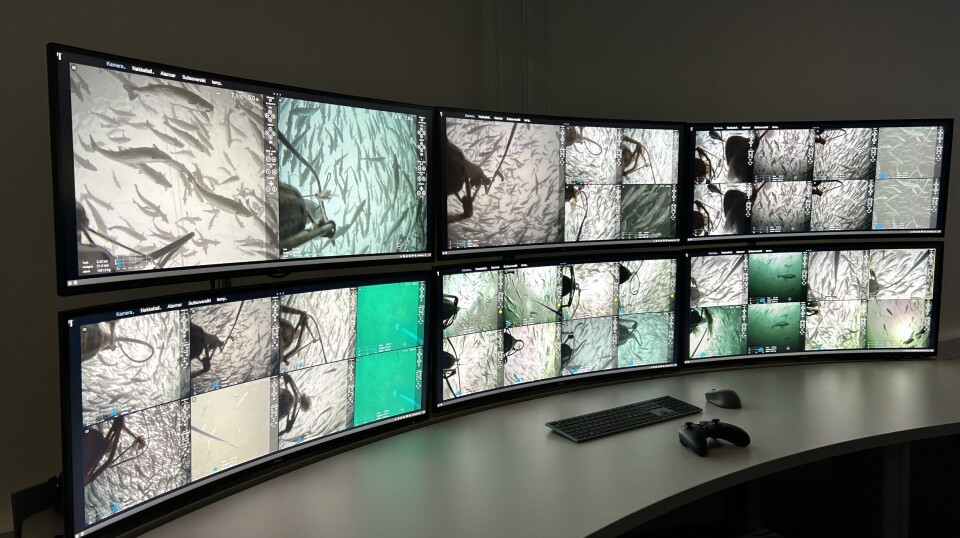 Trondheim-based Piscada's software platform manages, analyses, optimises, and controls feeding operations.