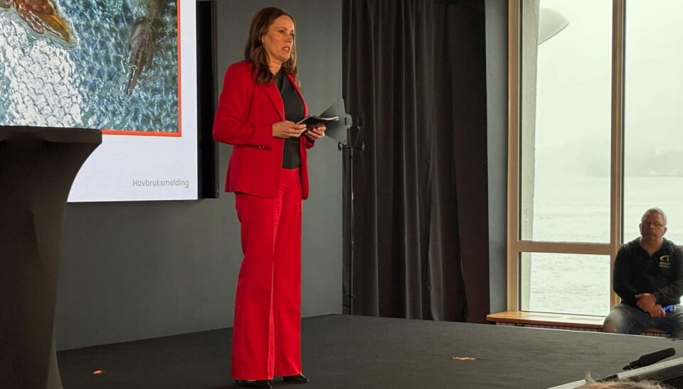 Norwegian fisheries minister Marianne Sivertsen Næss announces the proposed changes.