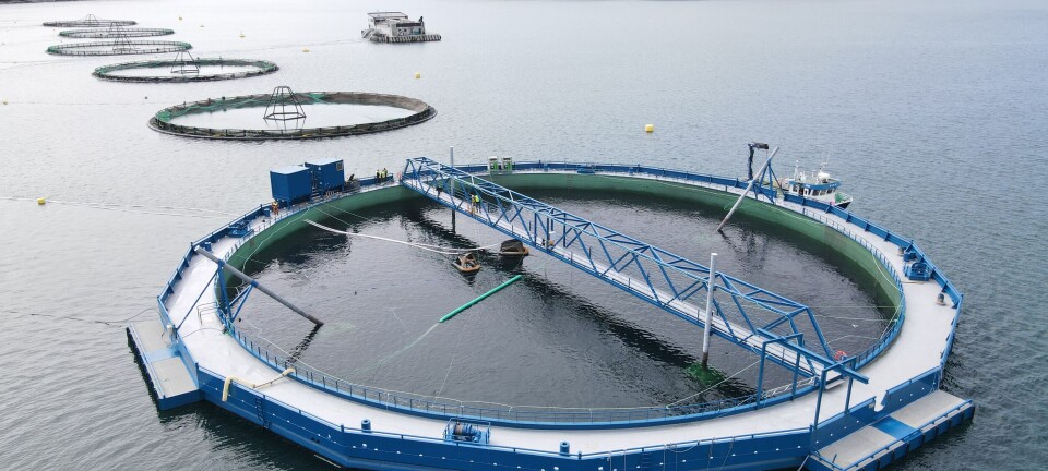 China's fish-farm-in-a-ship begins operation