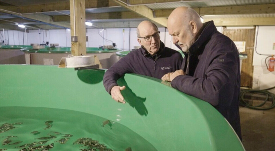Otter Ferry Seafish managing director Alastair Barge, left, with Amar Seafoods owner Bjorn Apeland at the Otter Ferry facility.
