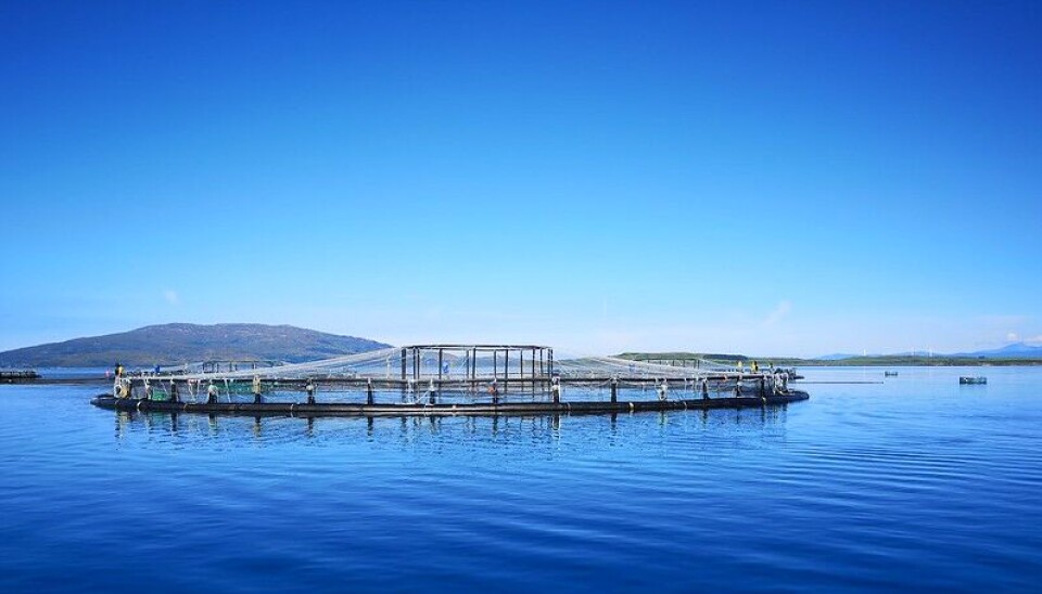 A Scottish salmon farm and, inset, the Soil Association logo that can be used for certified organic products.