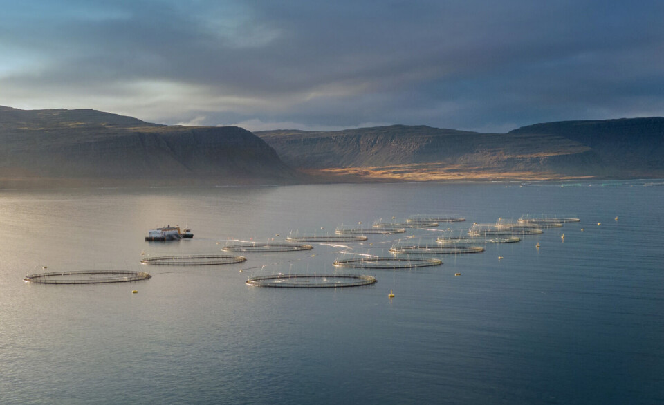 An Arnarlax (Icelandic Salmon) fish farm in Iceland.