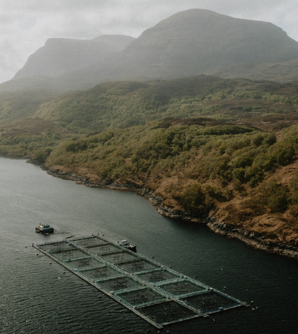 A Loch Duart salmon farm site. The company produces around 9,000 tonnes of salmon annually.