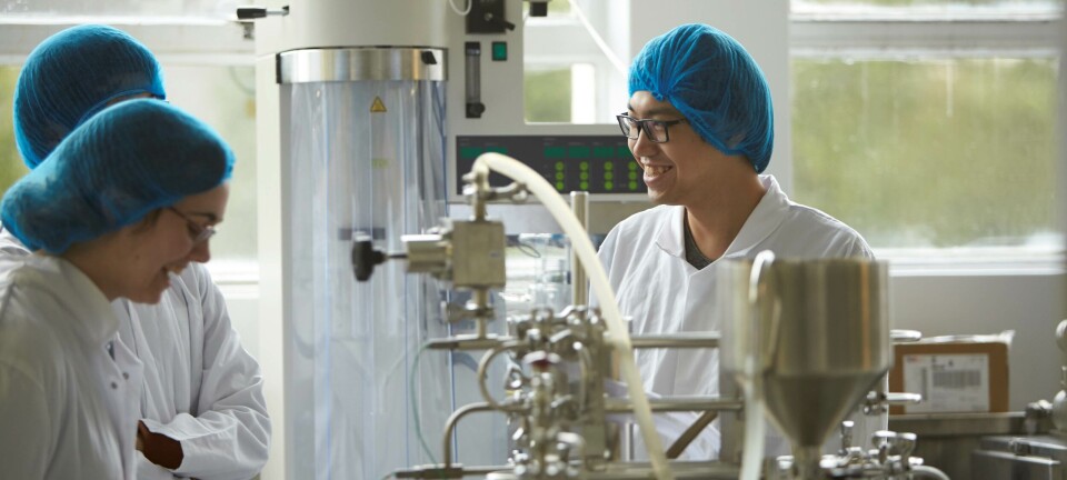 Seaweed processing pioneer completes commercial-scale trials