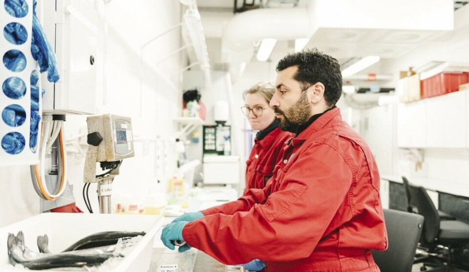 Researcher Angelico Madaro measures the weight and length of the fish.