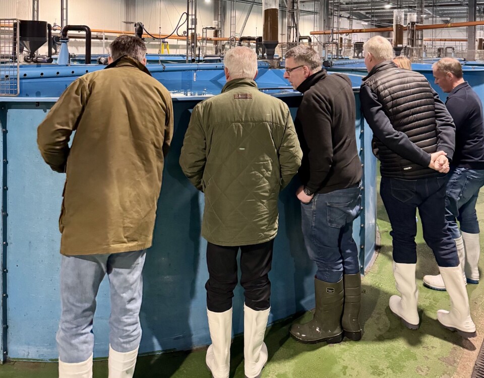 Lochailort RAS hatchery manager Allan MacMaster teaches the chefs about smoltification.