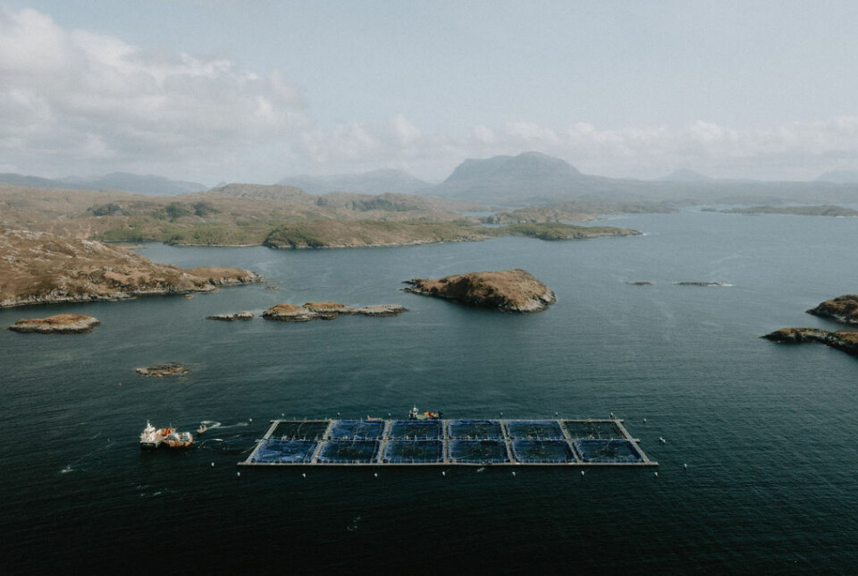 One of Loch Duart's 14 salmon farms. The company's new welfare standard requires regular visits from fish welfare teams and allows unannounced inspections by assessors.