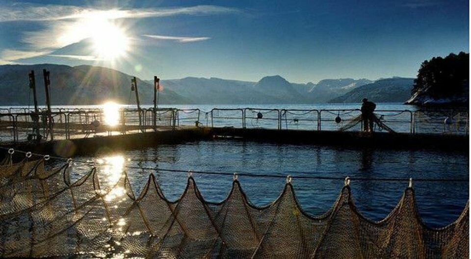 Fish farm nets provide protection on the front lines in Ukraine